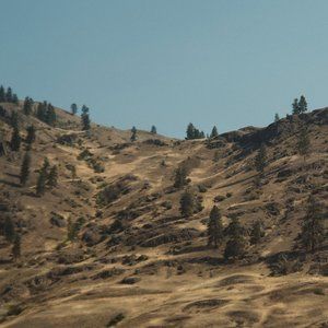 Meet your Posher, Bobbi